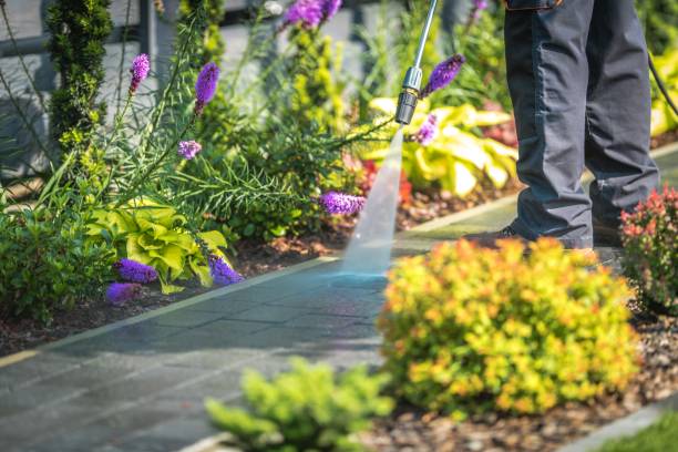 Best Fence Cleaning  in Emah, OK